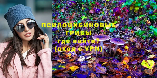эйфоретик Алексеевка