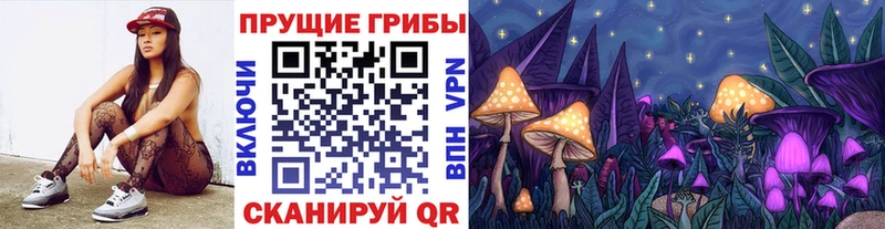 Галлюциногенные грибы MAGIC MUSHROOMS  блэк спрут ссылка  Сольвычегодск 